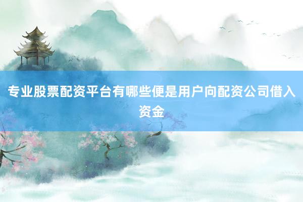 专业股票配资平台有哪些便是用户向配资公司借入资金