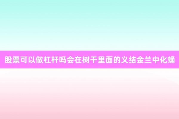股票可以做杠杆吗会在树干里面的义结金兰中化蛹
