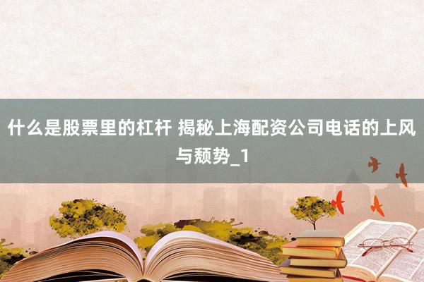 什么是股票里的杠杆 揭秘上海配资公司电话的上风与颓势_1