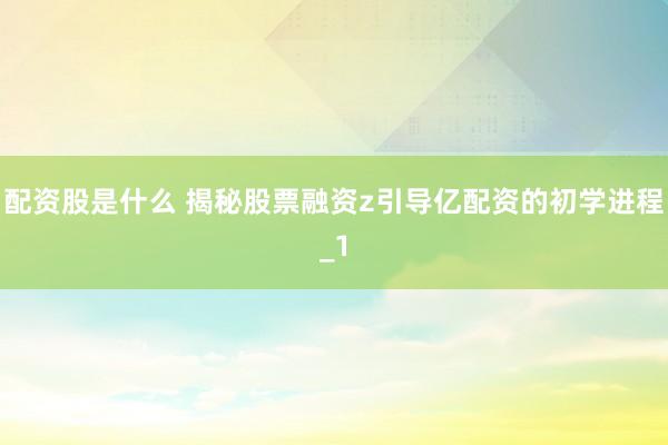 配资股是什么 揭秘股票融资z引导亿配资的初学进程_1