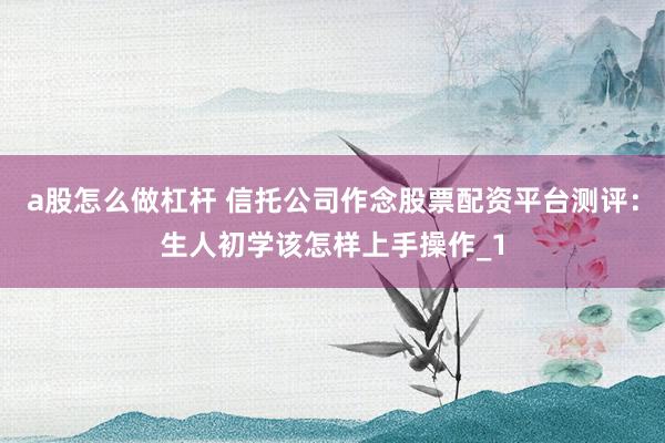 a股怎么做杠杆 信托公司作念股票配资平台测评：生人初学该怎样上手操作_1